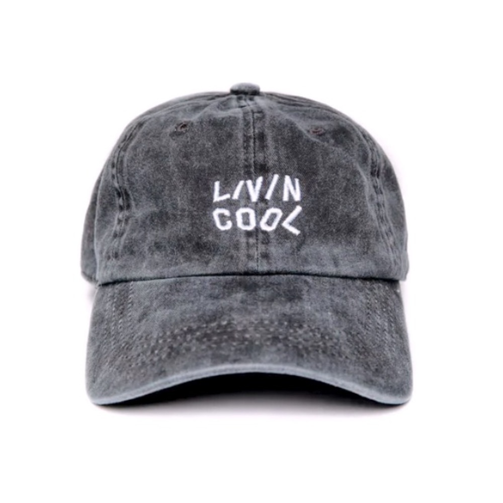Livin’ Cool Washed Wavy Logo Cap - NWOT
